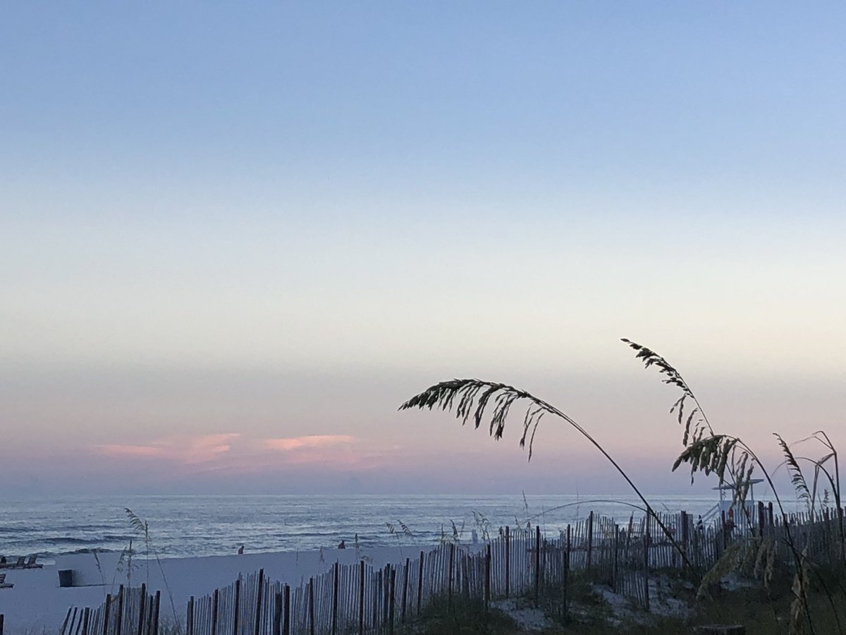 ktanner65's tweet photo. @spann gorgeous evening in Orange Beach! https://t.co/uesPvN2arn