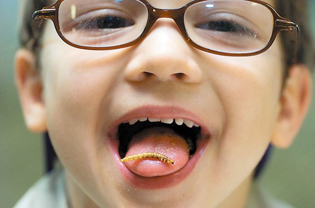 Livinfarms's tweet photo. Kids are not "bugging out" for insects! They are learning the potential of this future food! ๐๐๐ฆhttps://t.co/g1gd74nNLX Get our Hive and start farming here: https://t.co/Z3xoPaq9V6
are YOU #farming yet? #entomophagy #edibleinsects #entovegan #bugappetit #futurefood https://t.co/eYTnrFit6g