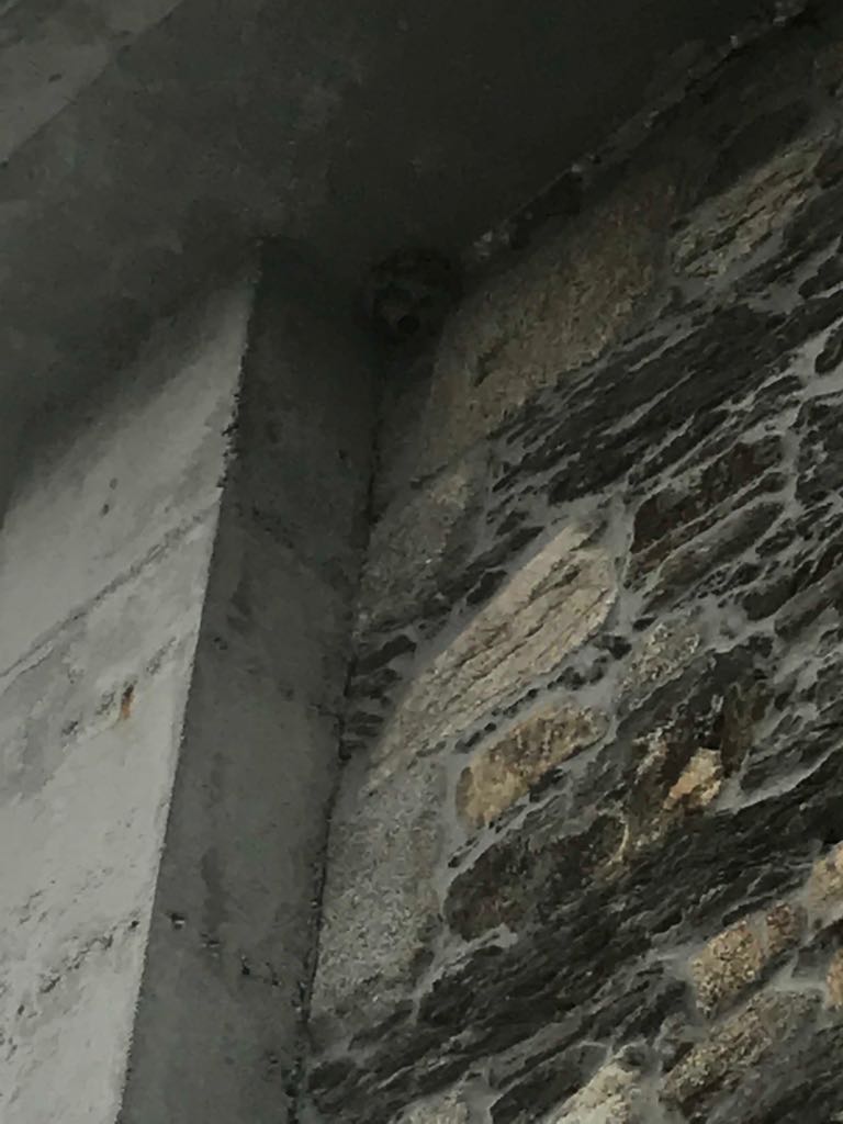 avpcmino's tweet photo. 06.08.2018. Lunes.  23.00 h. 

Nidos de Velutina eliminados en Viadeiro, A Brea y A Pousadoira.

#Viadeiro #ABrea #APousadoira #Miño #Callobre #Avispa #Velutina @112Galicia @avpcmino @avpcmino https://t.co/Kn9acS3MRL
