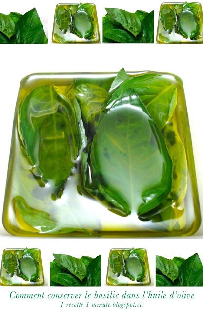 1recette1minute's tweet image. Découvrez Comment Conserver les Fines Herbes Aromatiques, Cliquez ici --&amp;gt; 1techniquedecuisine.blogspot.com/2014/08/commen…   #conserver #utiliser #fineherbes #aromatique #herbe