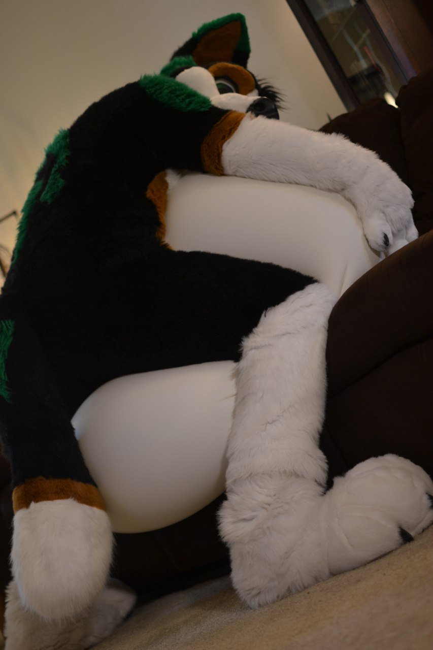 'Cancelled Fursuit' @MFF on Twitter: "It's late and it's been a while