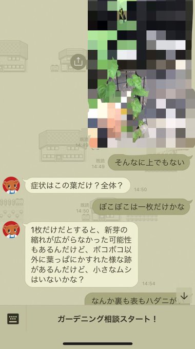 無料ダウンロードガーデニング いらすとや 最高の動物画像