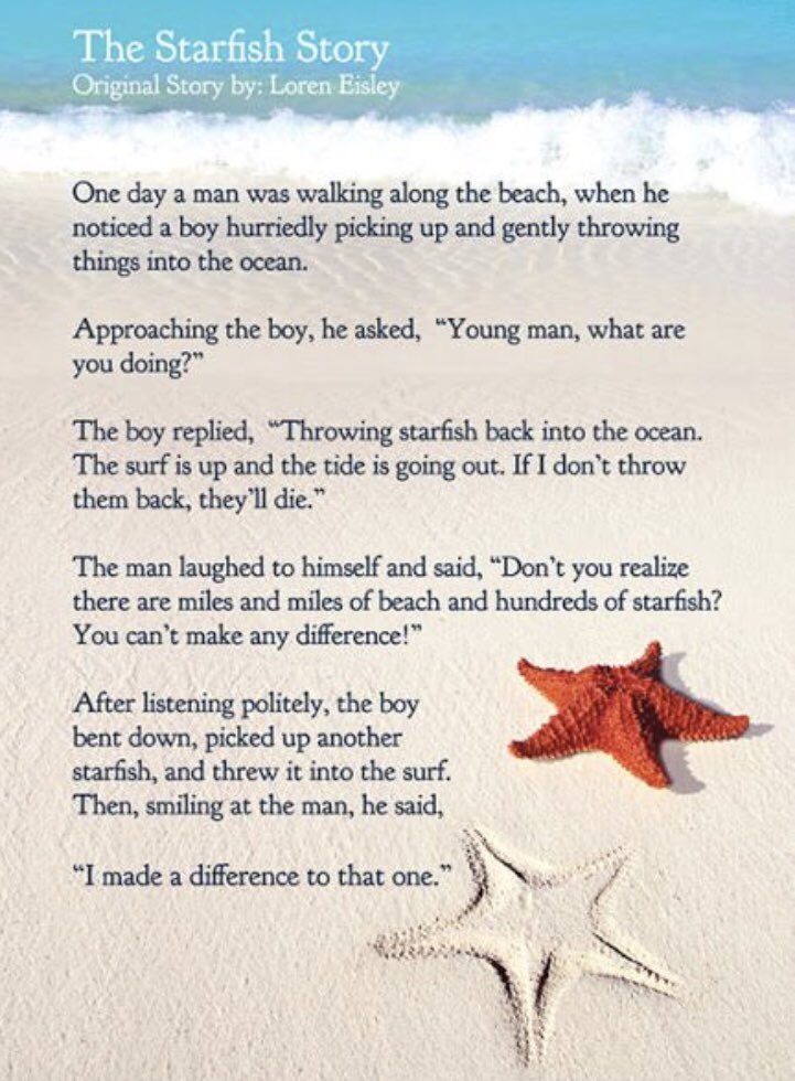 Thinking about the upcoming school year and reflecting on all the starfish we get the privilege to teach. 
#throwstarfish