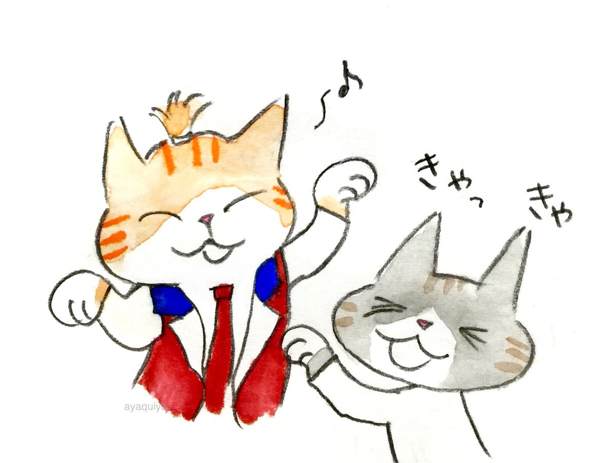 ayaquiyo's tweet photo. #世界猫の日 https://t.co/Xl8uA28xMy