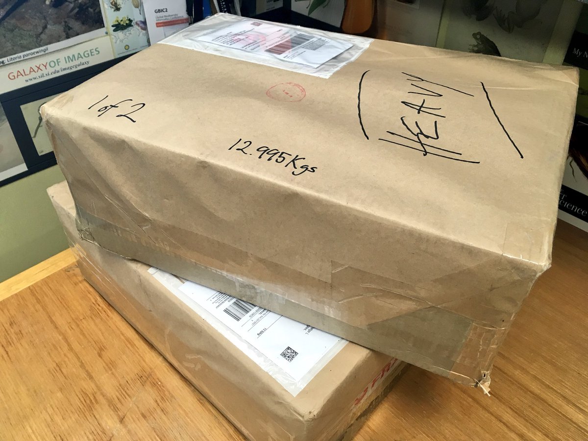nicolekearney's tweet photo. I love it when my desk looks like this - 4 new journals just arrived from the New South Wales Herbarium #RBGSydney, one of our newest @bhl_au contributors. They'll soon be freely available online @BioDivLibrary. #OpenAccess #InCopyright #BHLib #SystematicBotany #PlantEcology https://t.co/Fx1BE8ndsq