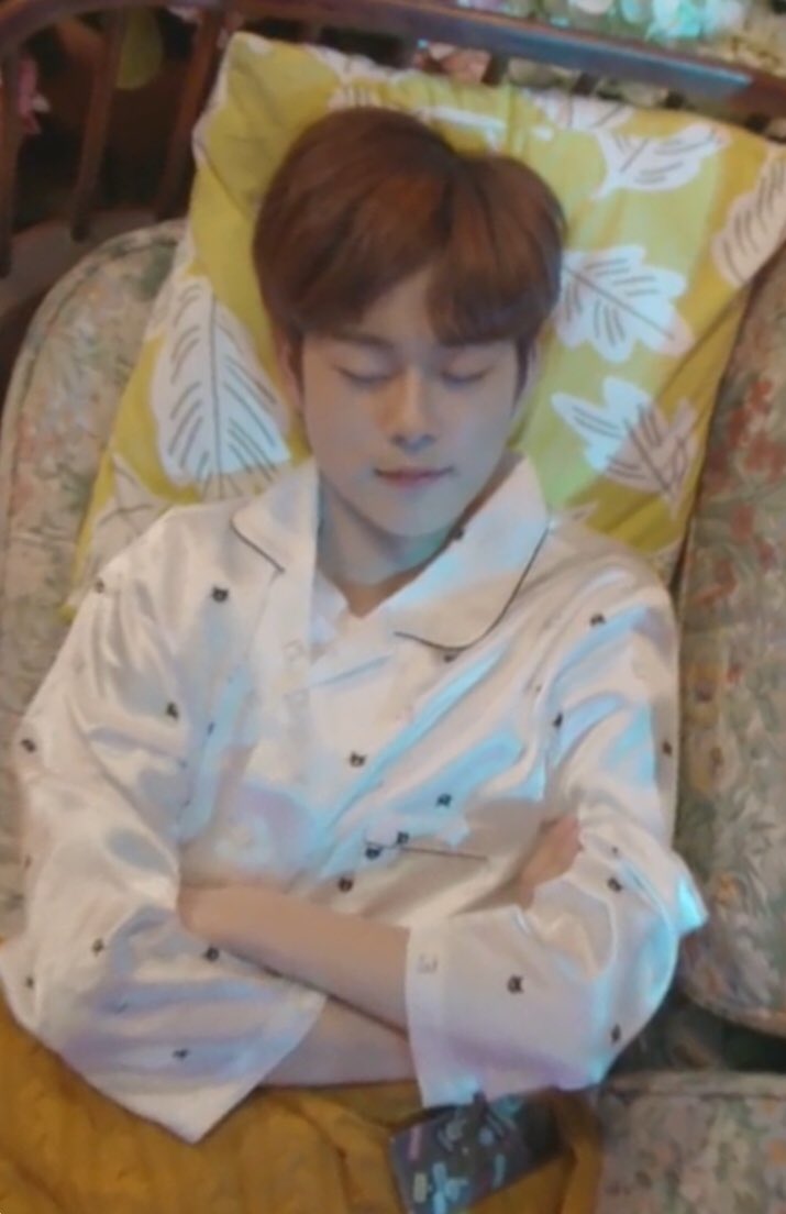 yshactivities's tweet photo. 🐣💤 chick sleeping position 🐤💤 https://t.co/M0IJ2evTsc