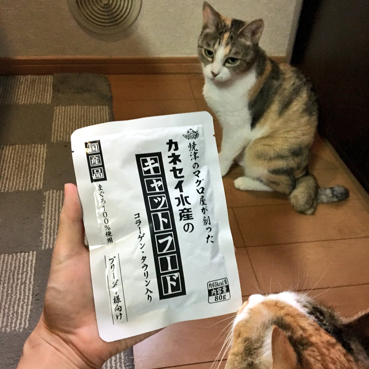 あこ Su Twitter 焼津のマグロ屋さんが猫が好きという情熱で作った あこ Su Twitter 焼津のマグロ屋さんが猫が好きという情熱で作った
