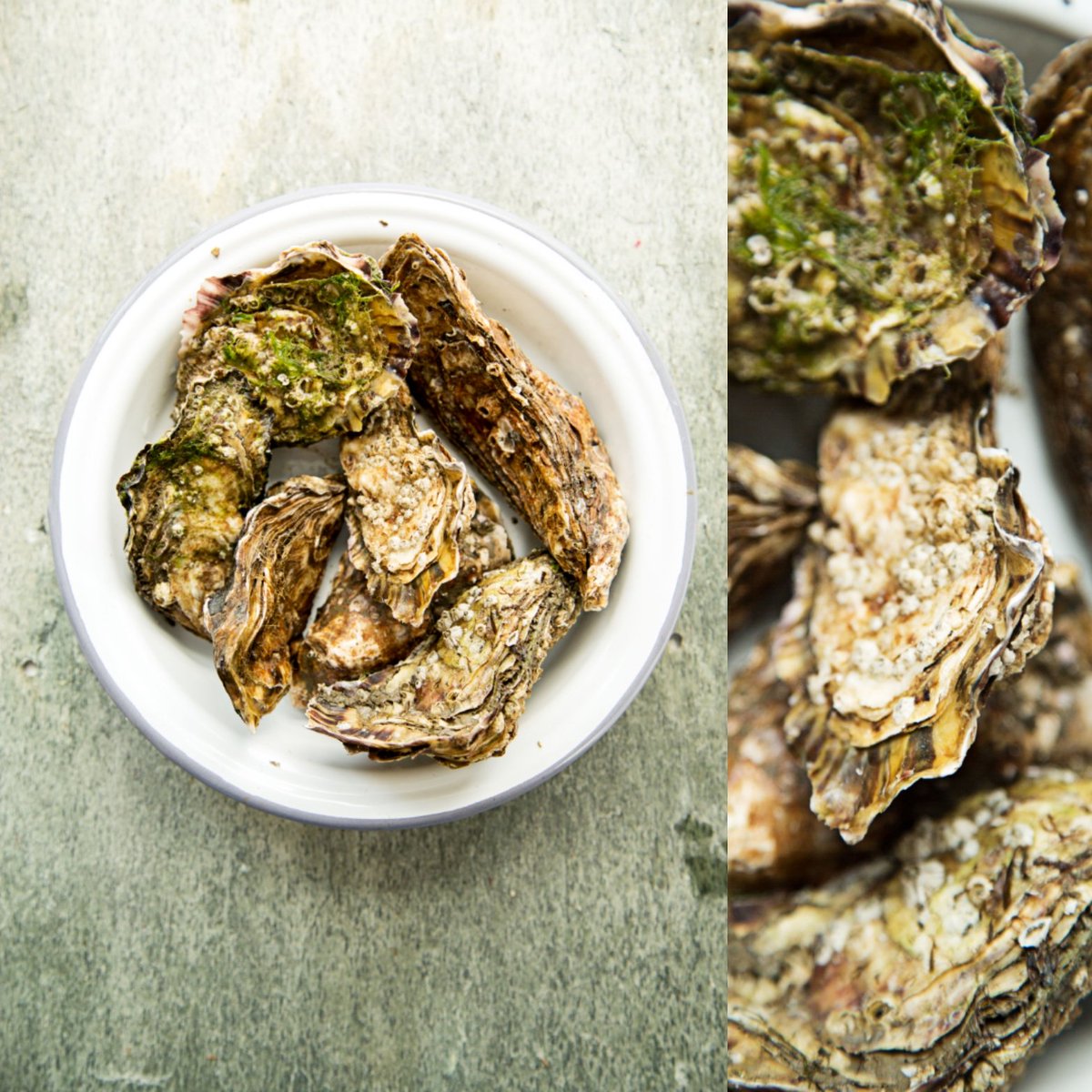 DuffinsMuffins's tweet photo. Carlingford oysters, I can't shuck so I baked them. Didn't get a pic, perfect excuse to buy more! #oysters #fresh #carlingford @innsmarket #f52grams #gastronogram #buzzfeast #huffposttaste #onthetable #thefeedfeed #foodstories #PinkLadySnapsAug18 @foodphotoaward @pinkladyappleuk https://t.co/QjXY86COHH