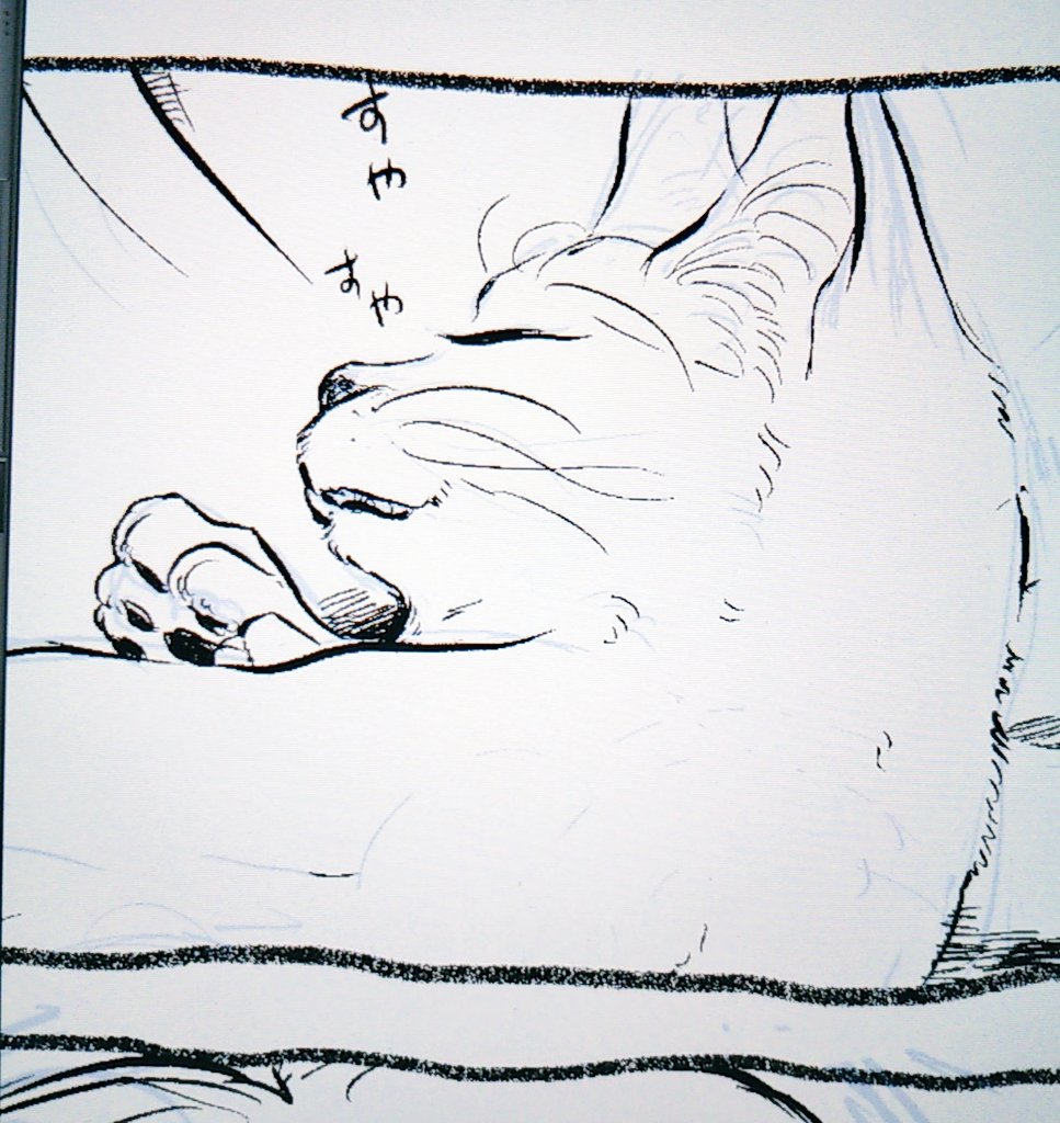 さっき絵を載っけたとこだけど猫と聞いて我満できなんだ  #世界猫の日 