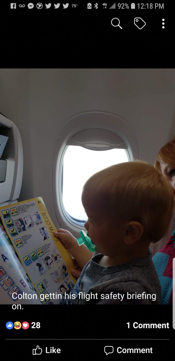 christine_null's tweet photo. Getting prepared for his first plane ride.
#lobosummerselfie https://t.co/JWTsXywb01