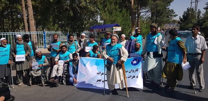 Afghan_PM's tweet photo. #AfghanProtectionMovement Disabled groups departed to Kabul through wheelchair from Herat province, calling on parties in war demand a ceasefire announcement and start peace talks, @UN @ashrafghani @USAmbKabul @Reuters @BBCWorld @NewYorkTimesGHS @TOLOnews @siqutp @Commander_RS https://t.co/Rldf84Z0F7