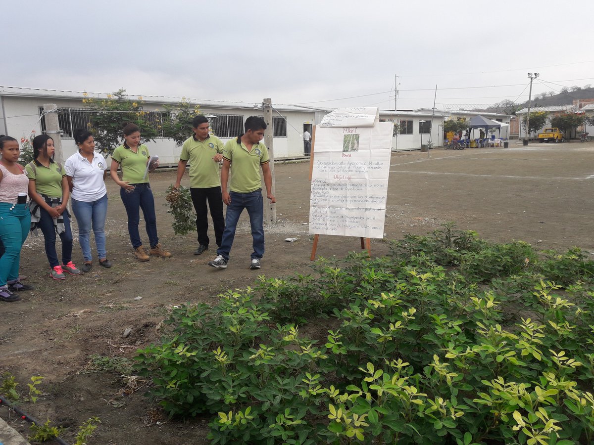 sancandoris1968's tweet photo. Del 6 al 9 de agosto es tu oportunidad de postular por la carrera Tecnología Superior en Producción Agropecuaria ITSPEM - Portoviejo https://t.co/EvsSBqE335