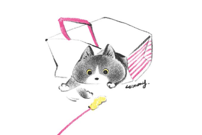 「世界猫の日」のTwitter画像/イラスト(古い順))