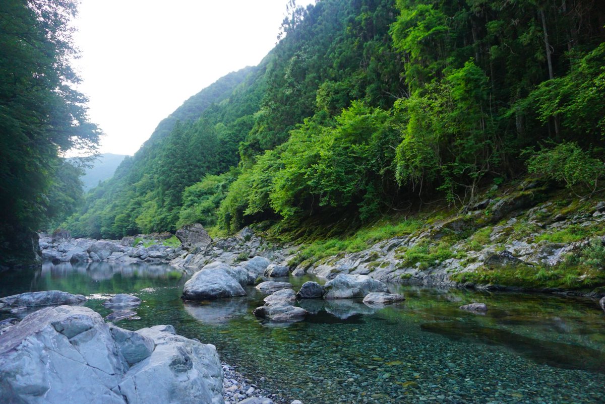 天川みのずみオートキャンプ場 بحث في تويتر