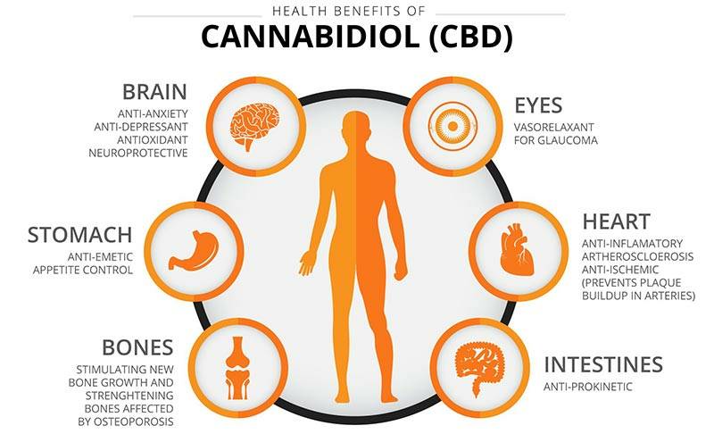 PyurCBD's tweet image. There are plenty of benefits to using Cannabidiol (CBD) we've found a perfect way for you to use it! Visit pyurcbd.com to look at some of our products! We even have a hypoallergenic option for those with coco/palm sensitivity at no additional cost!