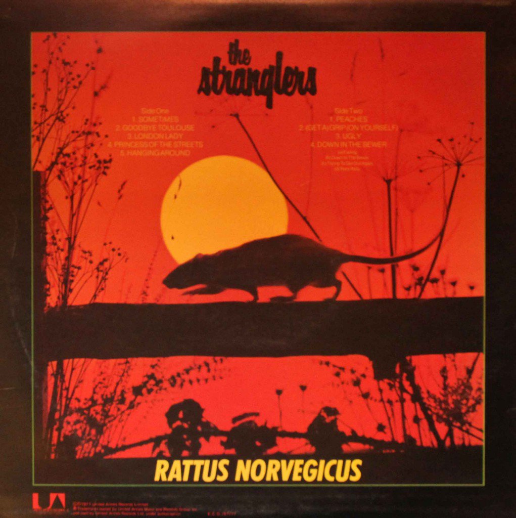 APOLOiBOZ's tweet photo. PATAS, no han sonado Los Estrángles, punks de finales de los 70's.
O igual y sí, pero me he perdido varios programas ;(
Algo del RATTUS (1977) 🐭
saludos a toda la banda #CONVOYER
#ElOraculoDelRAWK https://t.co/8uLrpQuUa9