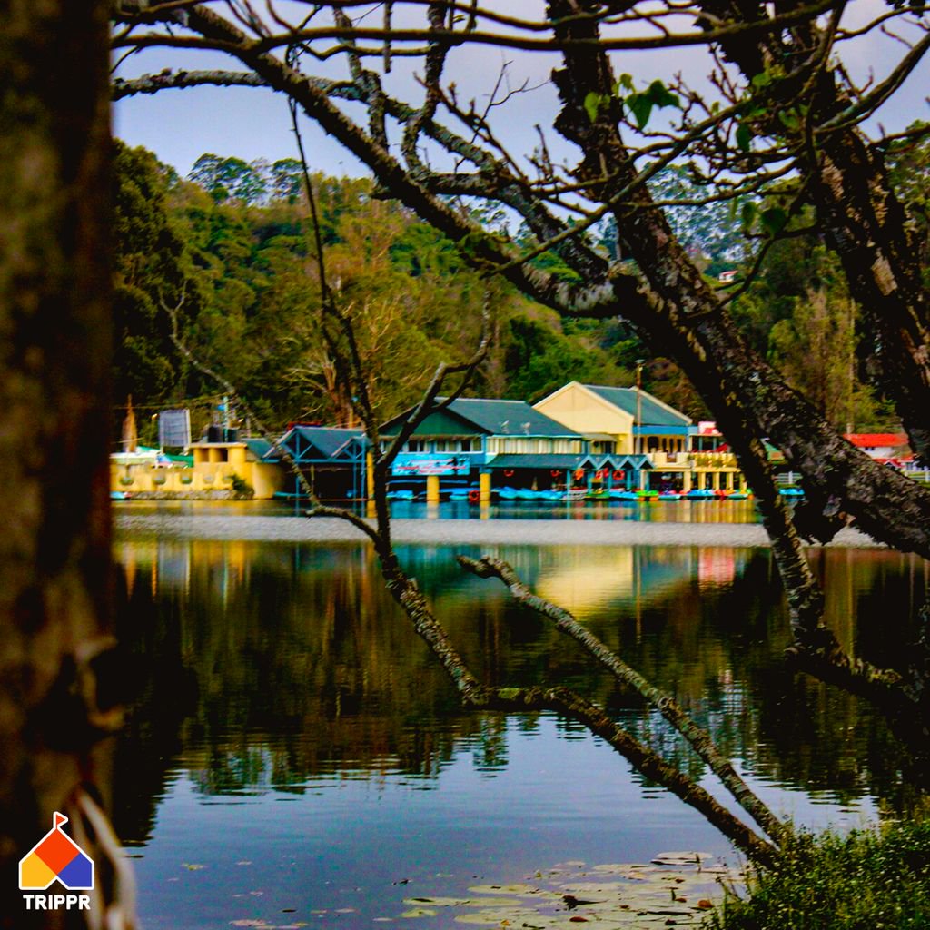 tripprworld's tweet image. Have you ever noticed how life stands still and you feel one with the world when you're at a tranquil lake? Come experience it all over again at Trippr Kodaikanal as you let the lake wash away all your anxieties.
Book now at tripprworld.com

#trippr #travel #lake #relax
