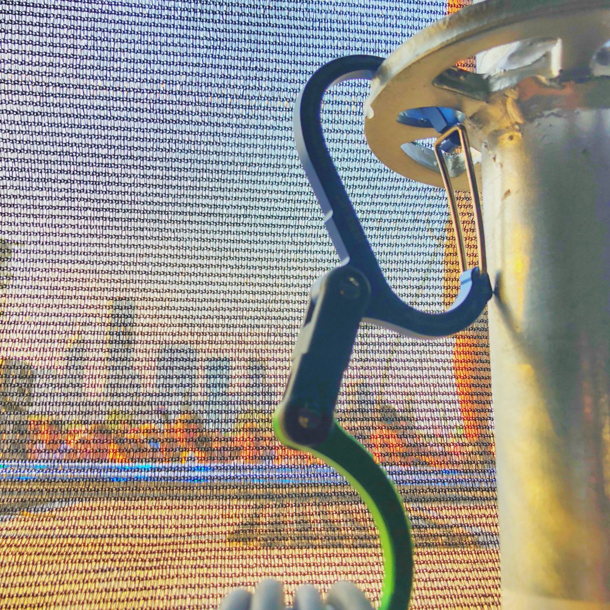 mark rutledge tweet media