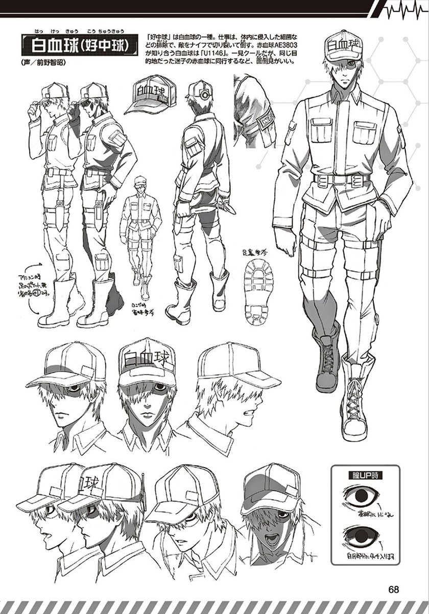 ZeroDS. on X: Hataraku Saibou Anime character designs.    / X