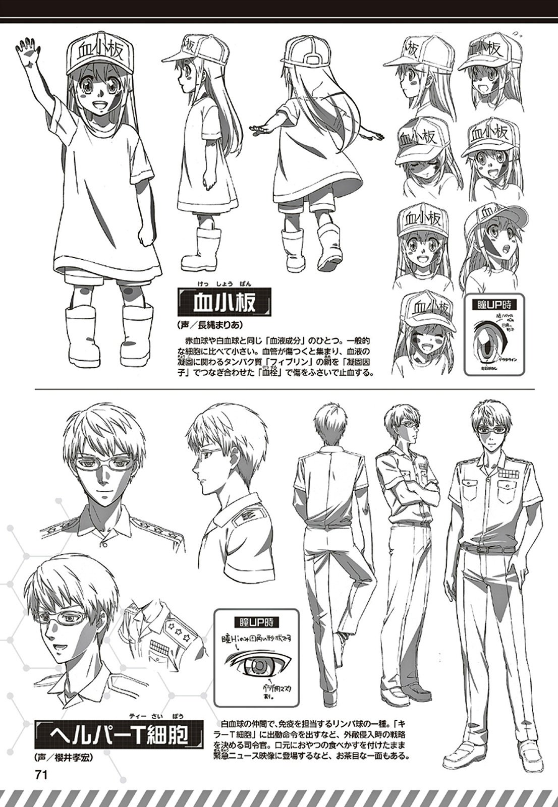ZeroDS. on X: Hataraku Saibou Anime character designs.    / X