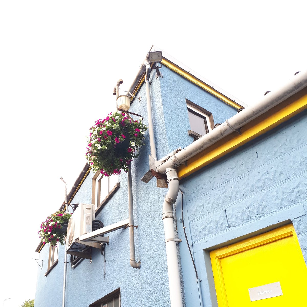 BidCarmarthen's tweet photo. Cymoni Cymuned π³ Pride in Your Patch #Tovali
#CymoniCymuned #PrideInYourPatch #caerfyrddin #carmarthen #CaruCaerfyrddin #LoveCarmarthen #blodau #flowers https://t.co/grJWZMDCPL