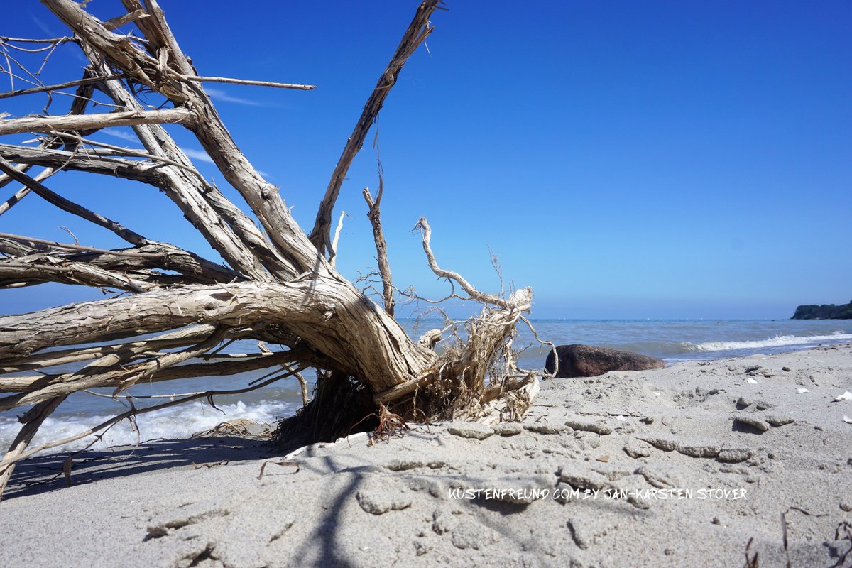 KuestenfreundCo's tweet photo. Naturstrand genießen! Schattiges Plätzchen oder doch lieber in die pralle #Sonne und sich nach 20 #Jahren fragen, warum sich das #Hautbild so fatal verändert hat!? - Enjoy : https://t.co/6I3JXTO6ft https://t.co/oYD6fi1BaW