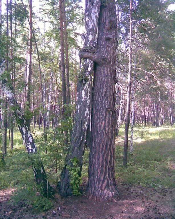 Irena Buzarewicz (@irenabuzarewicz) on Twitter photo 