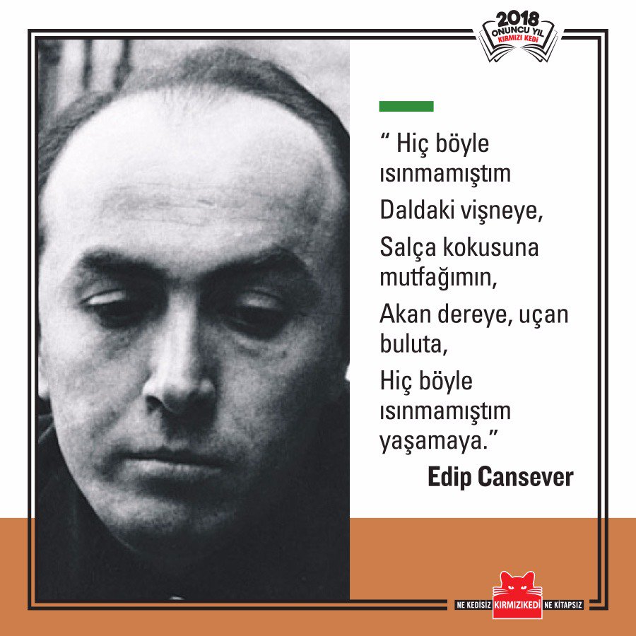 Kırmızı Kedi Yayınevi on Twitter "“ Hiç böyle ısınmamıştım Daldaki