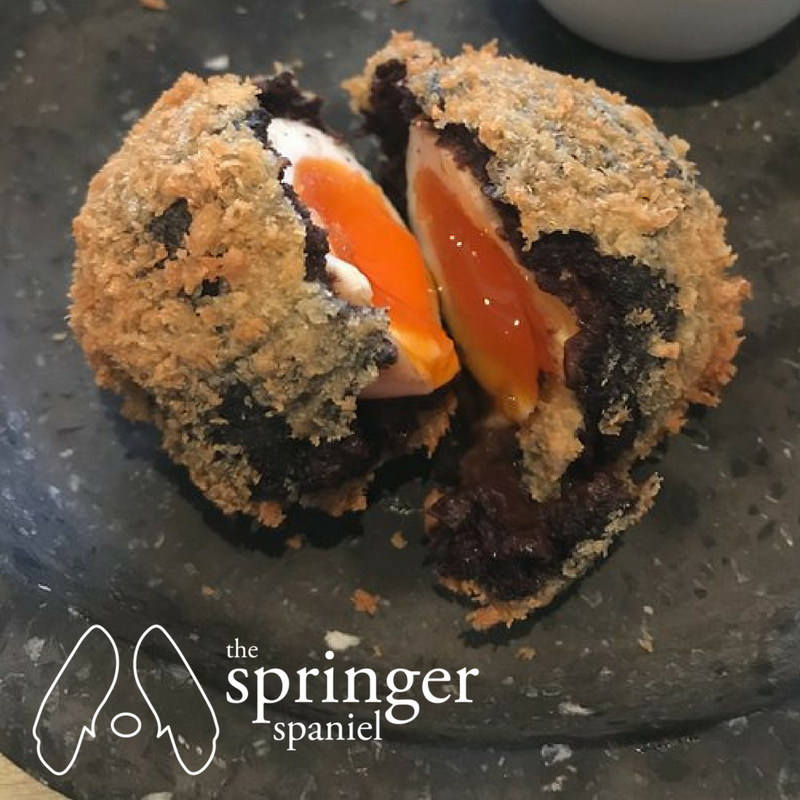 SpringerThe's tweet photo. We take food seriously at The Springer Spaniel..even down to our scotch eggs!
this springer classic is always around. #springerspanielpub #scotchegg #homemade #cornishtapas #foodies #getspoilt #eatout #pubfood #cornishfood #cornishpub https://t.co/t4MCe5COim