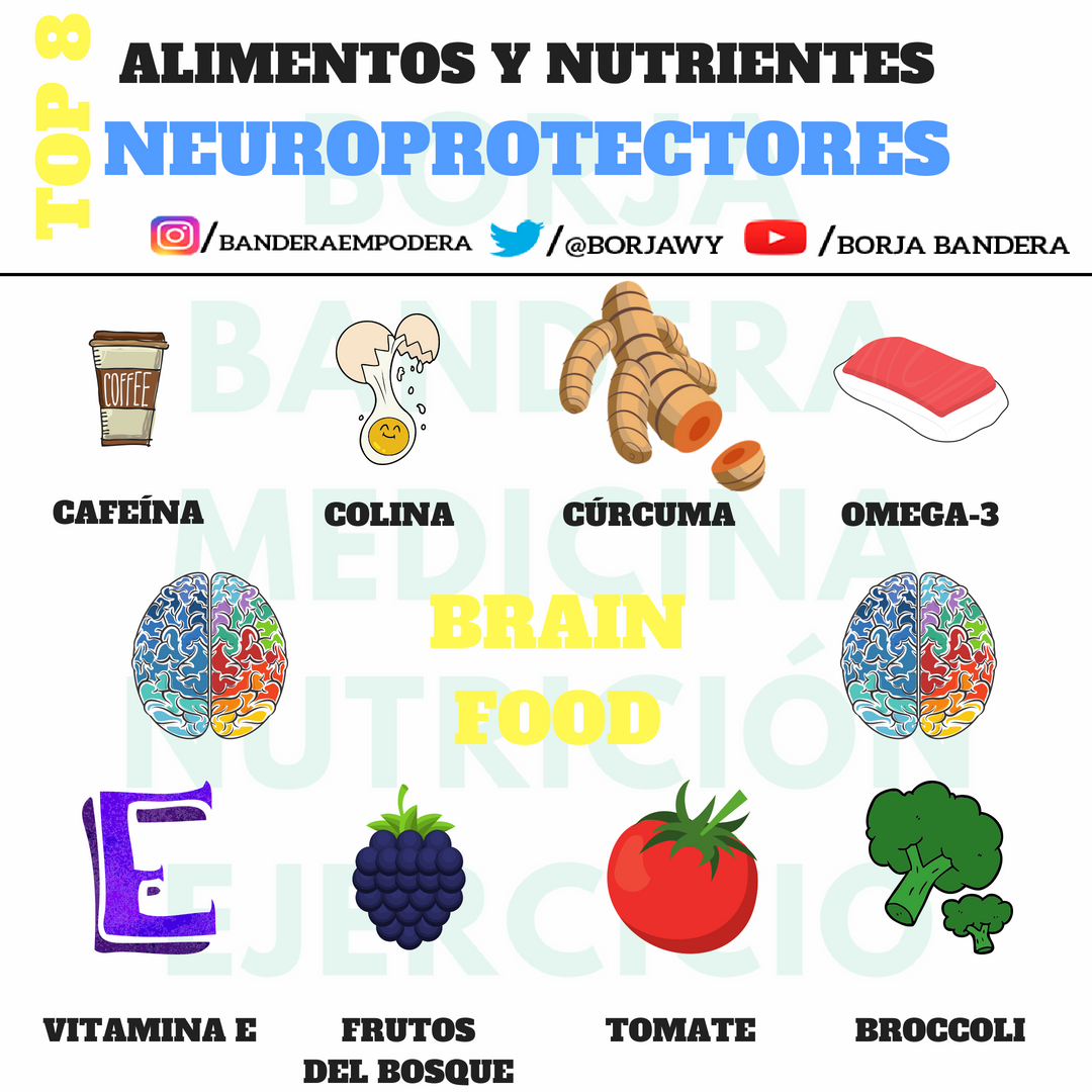 Alimentos y nutrientes buenos para la azotea. Trata de incluirlos frecuentemente.
