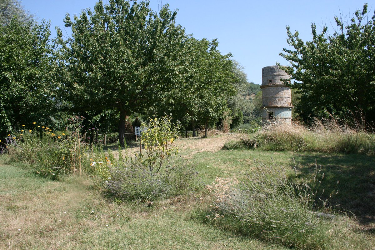 Oasilavalle's tweet photo. Antica torre colombaia - pertinenza del consorzio di bonifica.
Buon mercoledì al #Trasimeno #trasimenolake #mercoledì #agosto #oasilavalle https://t.co/6ssFH2ZACU