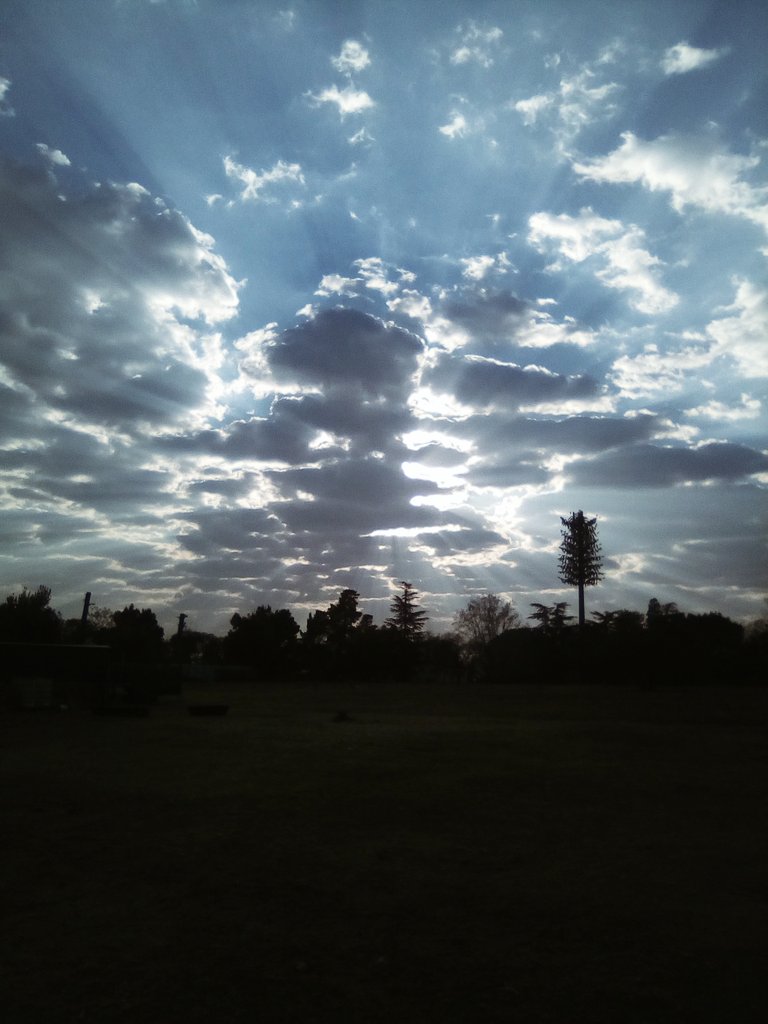 JackyBlessed_'s tweet photo. Morning glory! https://t.co/wdLkq6BY74