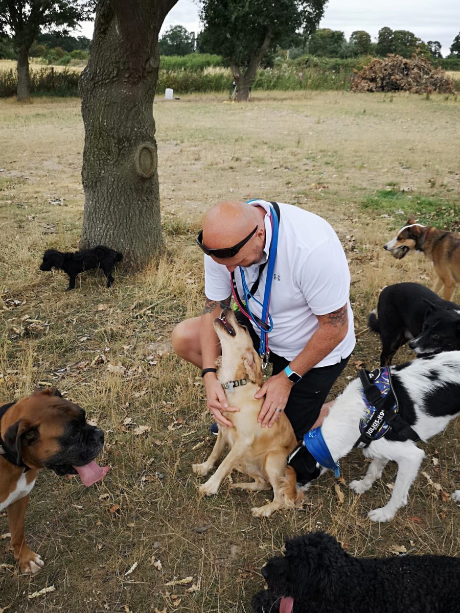 bigmikechilli's tweet photo. #dogwalkingleyland great day out with Canine Capers at Chester #houndwalker https://t.co/MSROFB2l7S