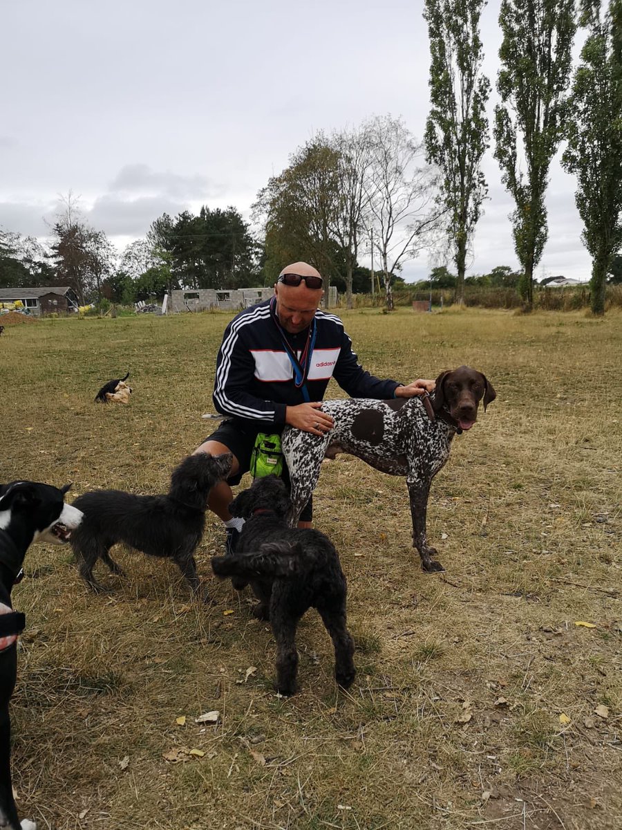 bigmikechilli's tweet photo. #dogwalkingleyland great day out with Canine Capers at Chester #houndwalker https://t.co/MSROFB2l7S