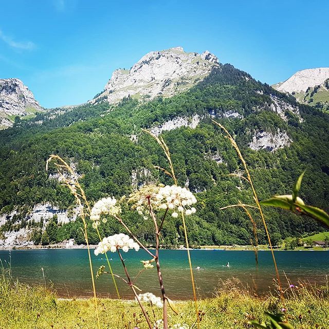 reisememo's tweet photo. Warum in die Ferne schweifen... @glarnerlandtourismus #klöntal #klöntalersee #glarnerland #See #verliebtindieschweiz #inlovewithswitzerland  #nature #naturelovers #instanature #ig_nature #naturephotography  #mountainlovers #wonderful_places  #neverstopex… https://t.co/ai5wu1J9zk https://t.co/lJ6C5CWD9Z