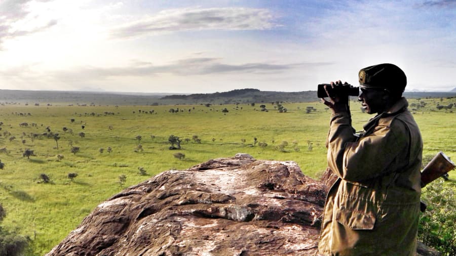 CNN's tweet image. 8 of the best safari destinations in Africa cnn.it/2KBEHAb via @CNNTravel
