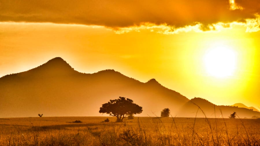 CNN's tweet image. 8 of the best safari destinations in Africa cnn.it/2KBEHAb via @CNNTravel