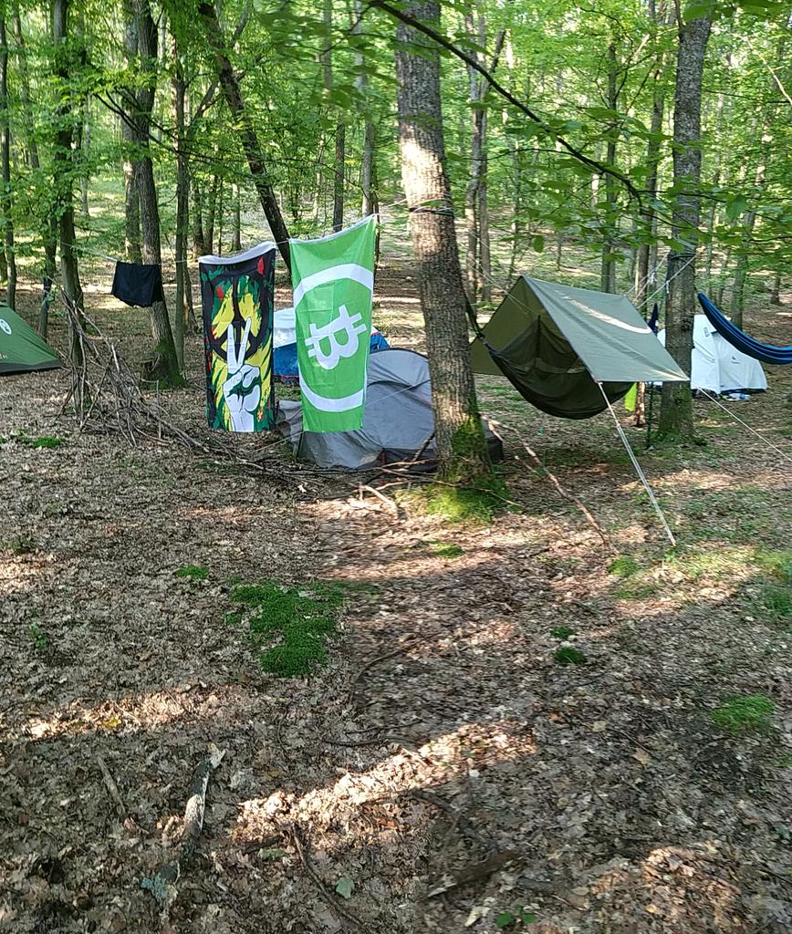 dlss's tweet image. Representing #BitcoinCash at #ApsaraFestival :D find me at the campsite to get some @Bitcoin cash stickers :D (and if my phone isn't dead possibly some #BCH aswell)