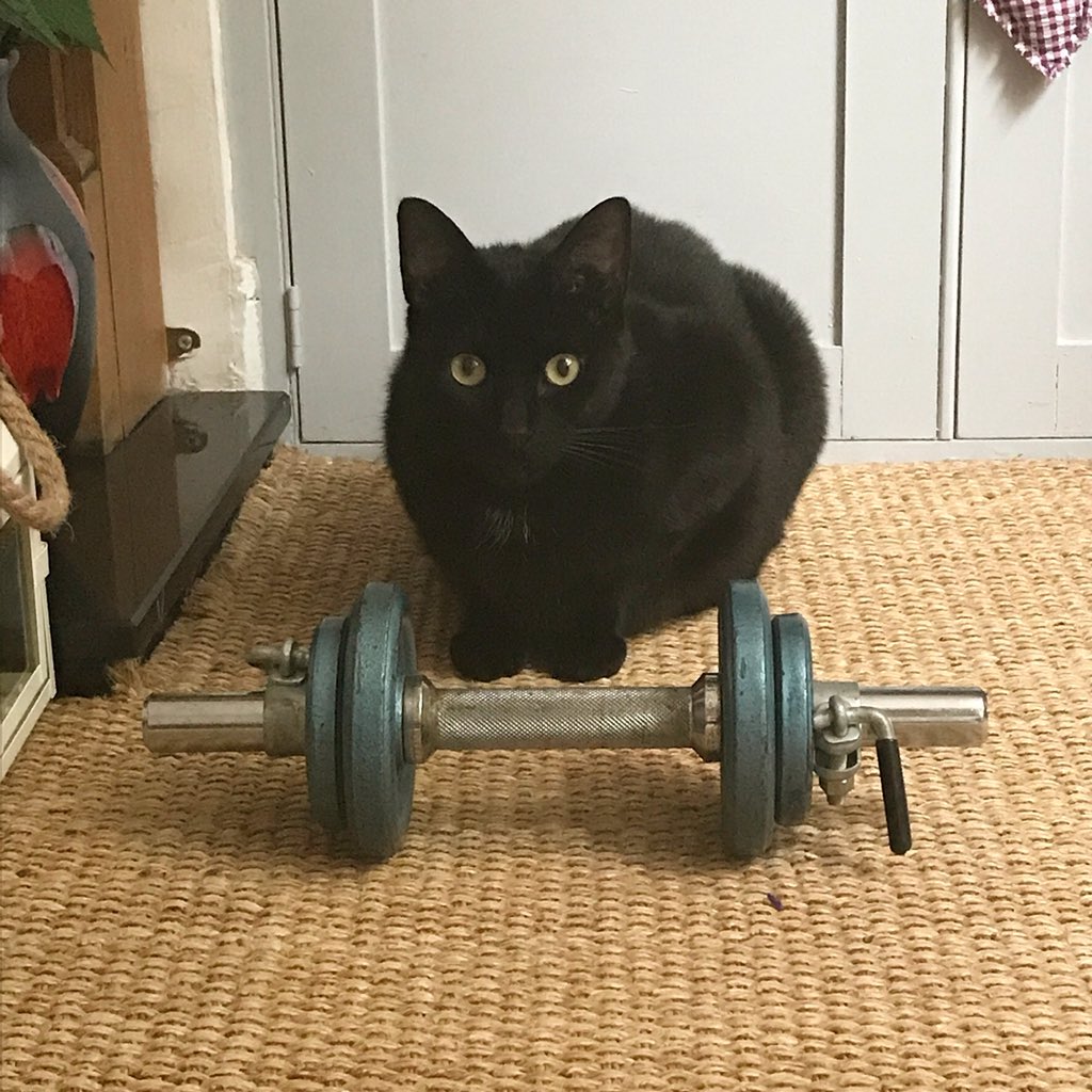 Mums Who... tweet media