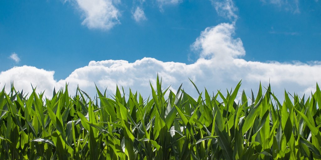 Sievo's tweet photo. Discover how Kellogg optimised performance in spend forecasting. See how they manage & predict their spend with Sievo: https://t.co/oSLqSzXjxv
#spendforecasting #procurement #procurementspend #spendanalytics https://t.co/VekoA7R30F