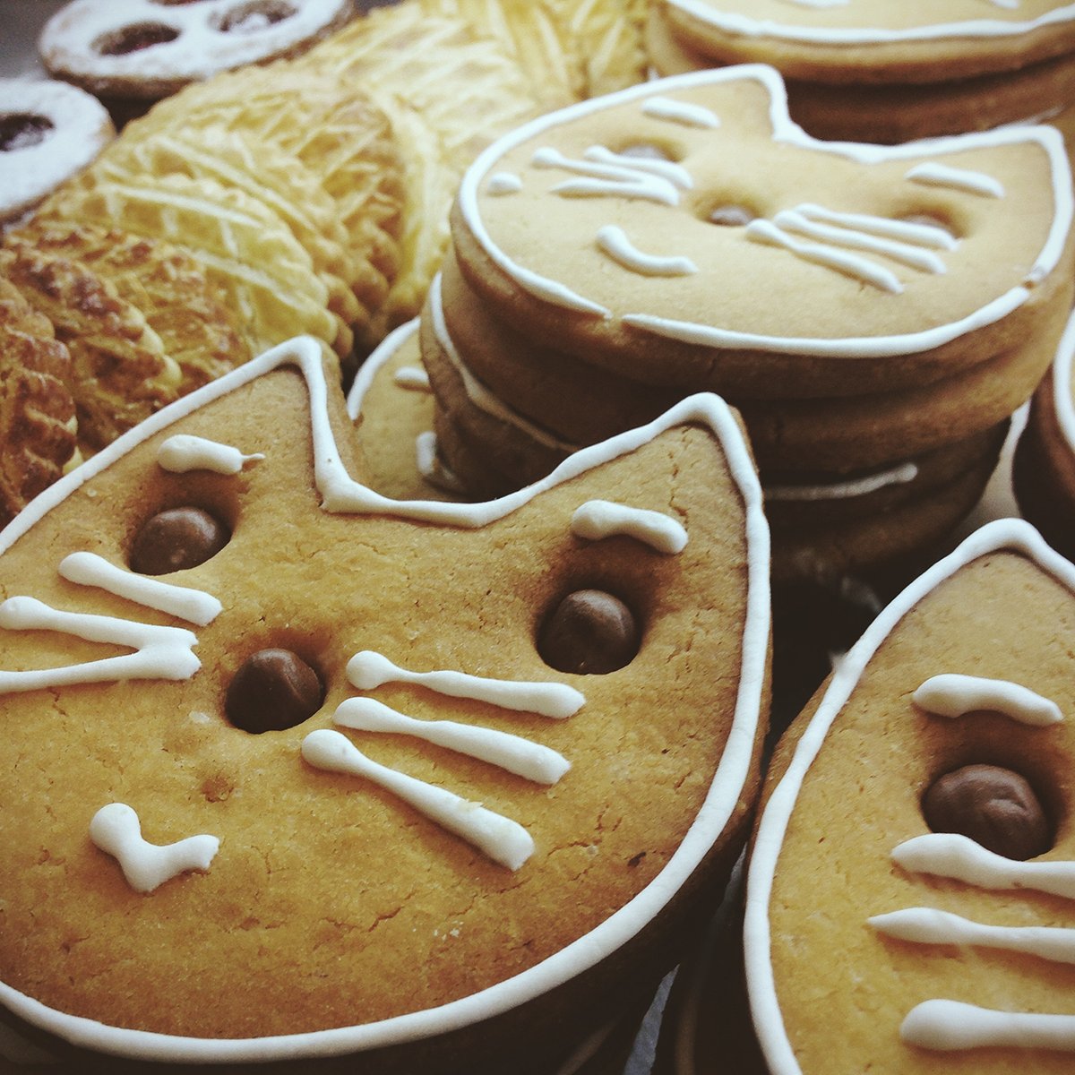 Miao miao! Pensiamo che questa semplice ricetta di biscotti potrebbe piacerti! Tutto quello che ti serve è uno stampino a forma di gatto! #giornatainternazionaledelgatto #facciamolefusa