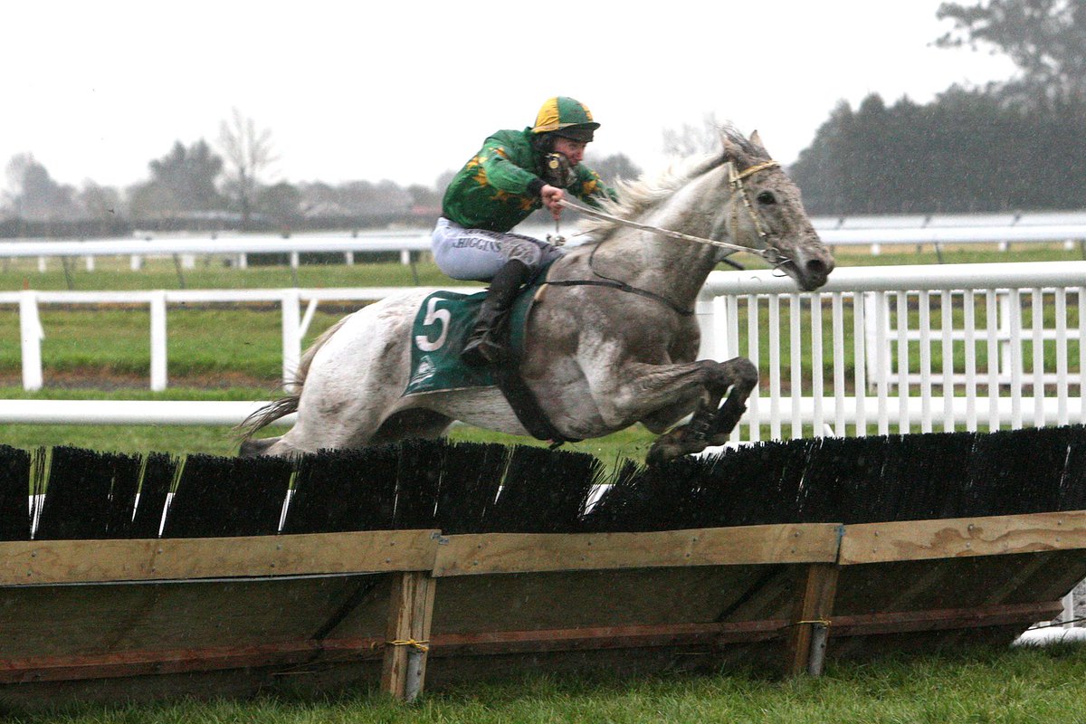 NZ Racing News tweet media