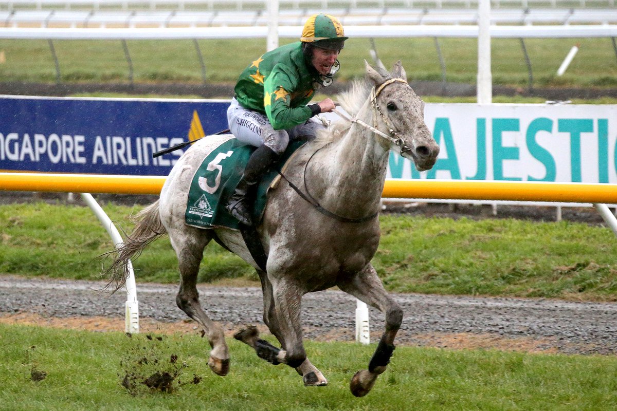 NZ Racing News tweet media