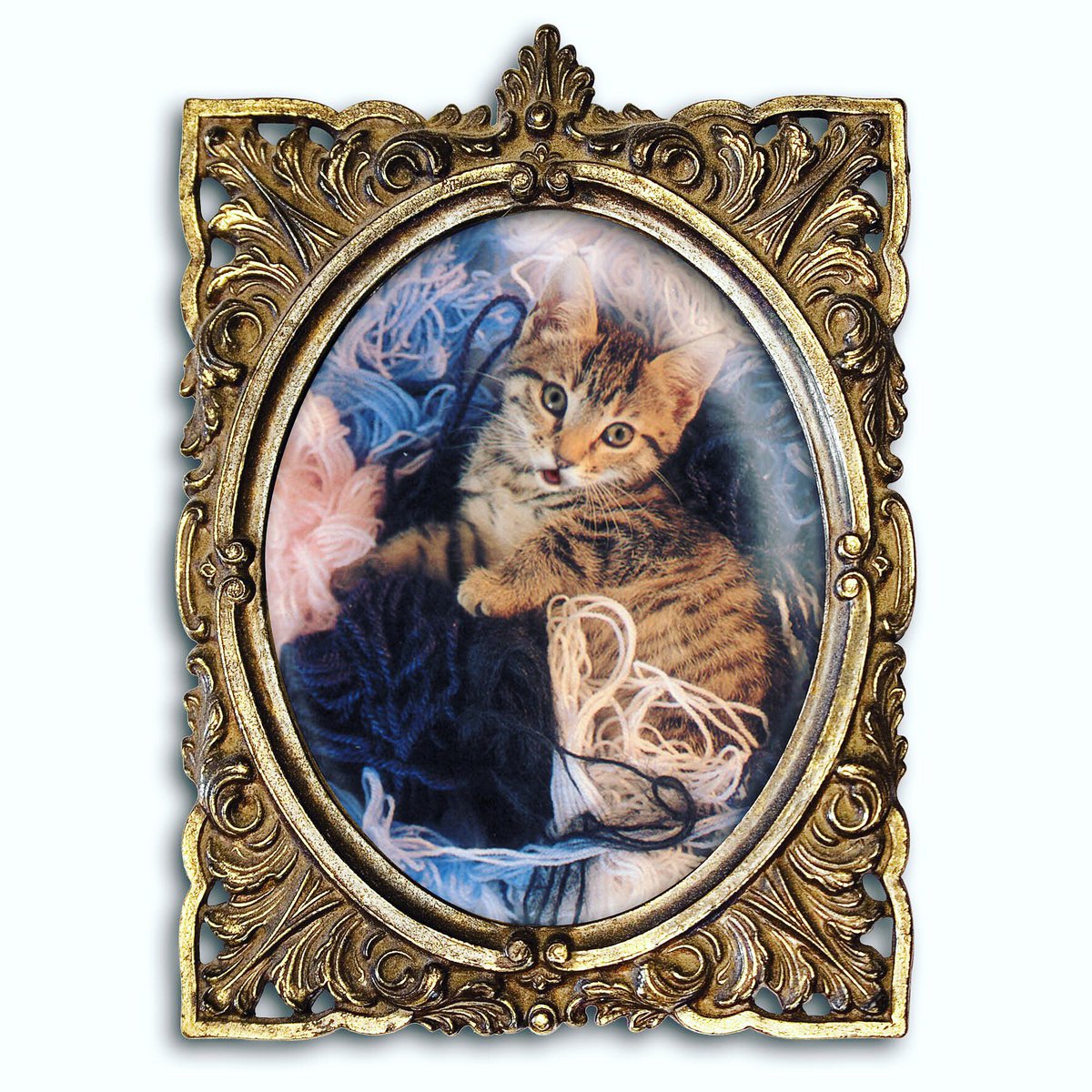 ChopsForTea's tweet image. For all you feline fans!
Thanks @ChrisMOConnor for bringing this important day to my attention. #happy #InternationalCatDay #powertothepussy #catlovers