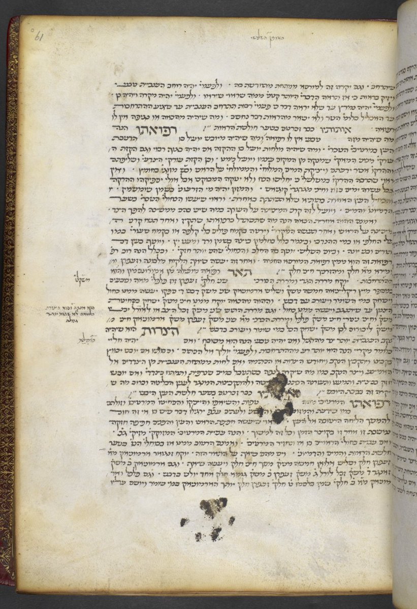 BL_HebrewMSS's tweet photo. For #InternationalCatDay here's a 15th Century manuscript (Hebrew translation of Avicenna, Harley MS 5707) with some inky paw prints 🐾📖 #HebrewProject https://t.co/o8jRS5QdCQ