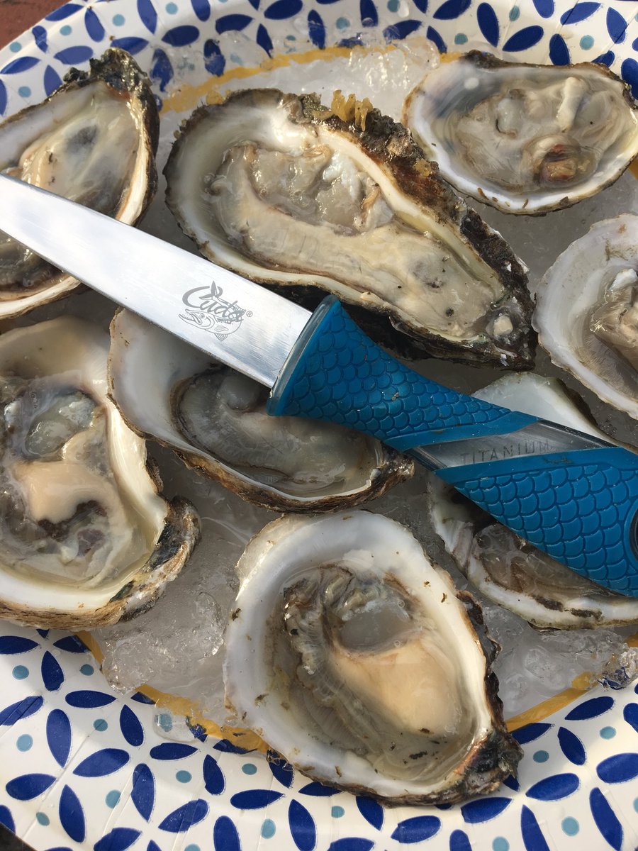 CudaBrand's tweet image. Oysters on the half shell anyone? The Cuda Oyster Knife is a must have on your boat and in your kitchen! #cudabrand #cudatools #oysters