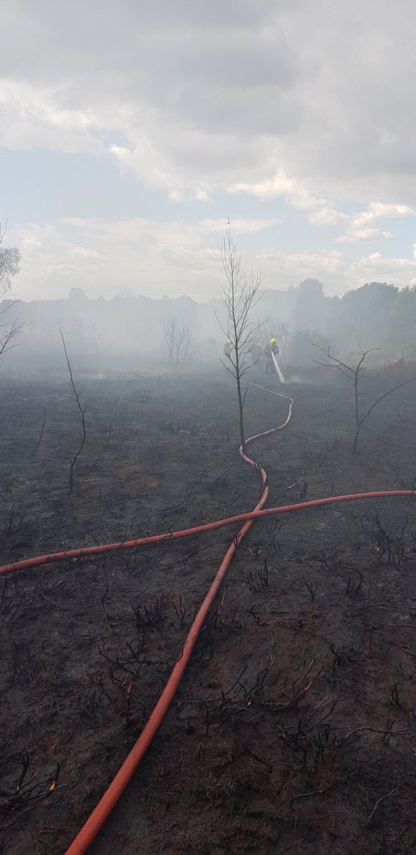 mansfieldfire1's tweet photo. 6 pumps currently dealing with 10,000 sqm heathland fire at Oak Tree Heath, Mansfield.
If you live nearby in the Oak Tree area off Jubilee Way South please remain indoors and close your windows.
Very arduous working conditions for all Firefighters involved. https://t.co/SbKMyM19IC