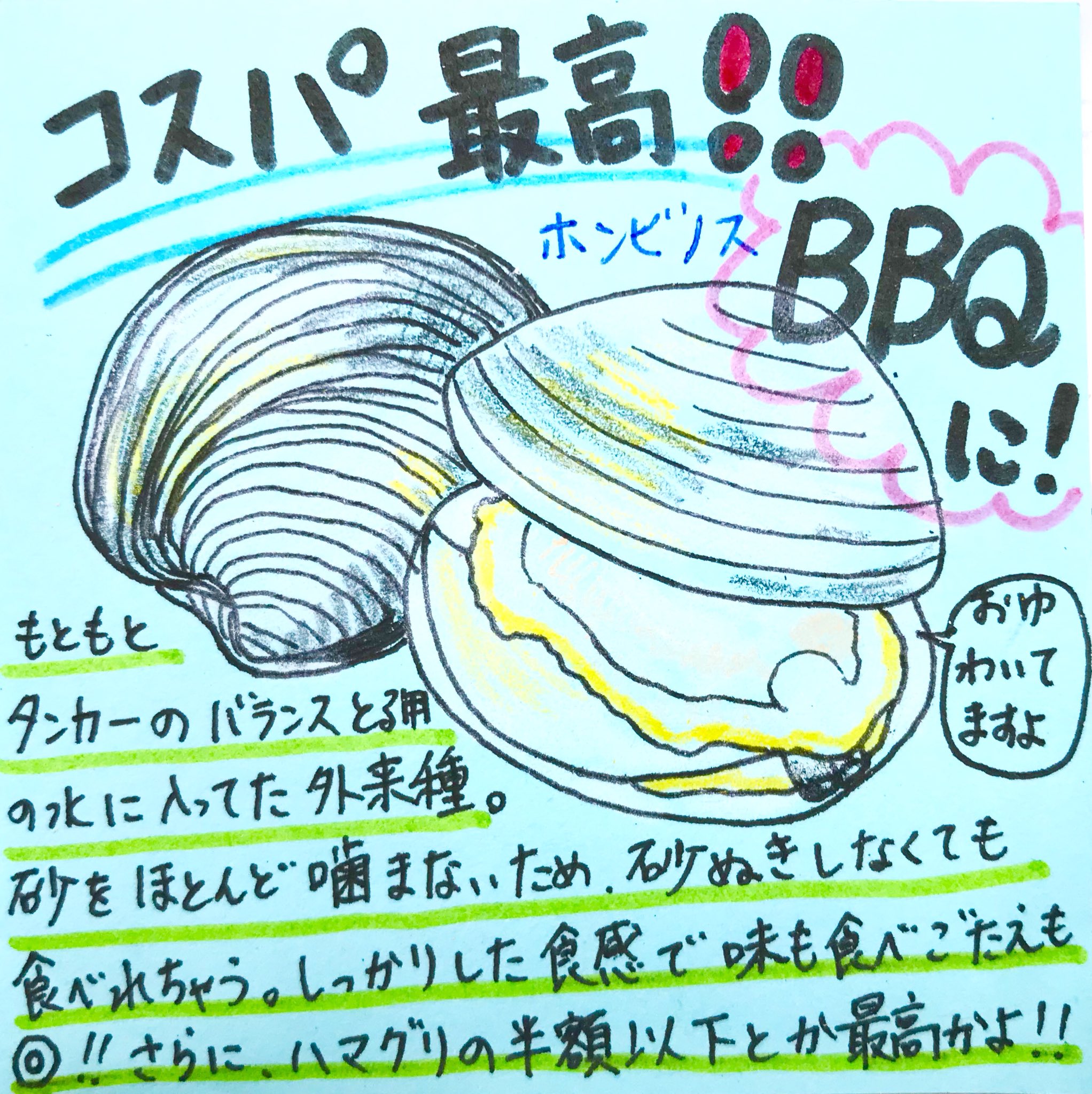 職員室の坂本さん Pa Twitter 色々と問題になる外来種 なら食べちゃえばいいじゃない タンカーに運ばれてやってきたホンビノスちゃんは ボリュームたっぷりな上に砂吐かせなくても食べられるお手軽さ さらにリーズナブルと qのために生まれてきたような貝