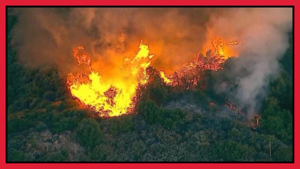 Planetary_Sec's tweet photo. 🌳 🔥 🔥 🔥 

Are devastating wildfires a new normal? 

“It’s actually worse than that” 

https://t.co/nRGgvs1ELe

#wildfires #climatechange #science #California https://t.co/djNOcVi2Lx