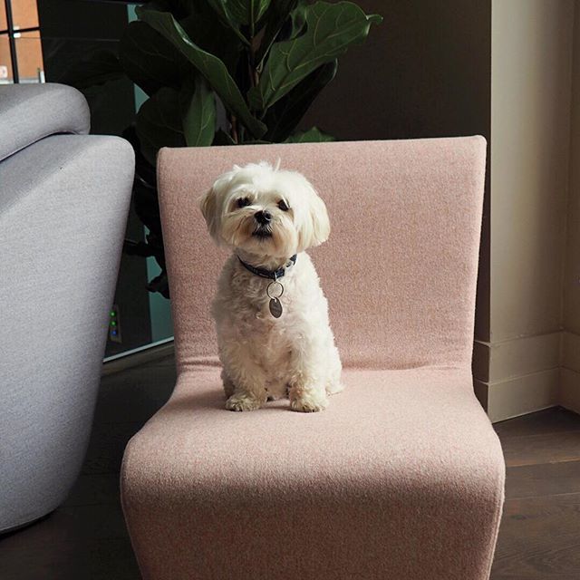 How can you increase your PR coverage? We've had Milo from <a href="/lfa_agency/">LFA</a> &amp; @prdispatch ask his team to round up some helpful tips. Read all about them in our Industry Insights. Link in bio!
.
.
.
.
.
#print#online#magazinecoverage#coverage#pr#publicrelatio… ift.tt/2AQeoqa